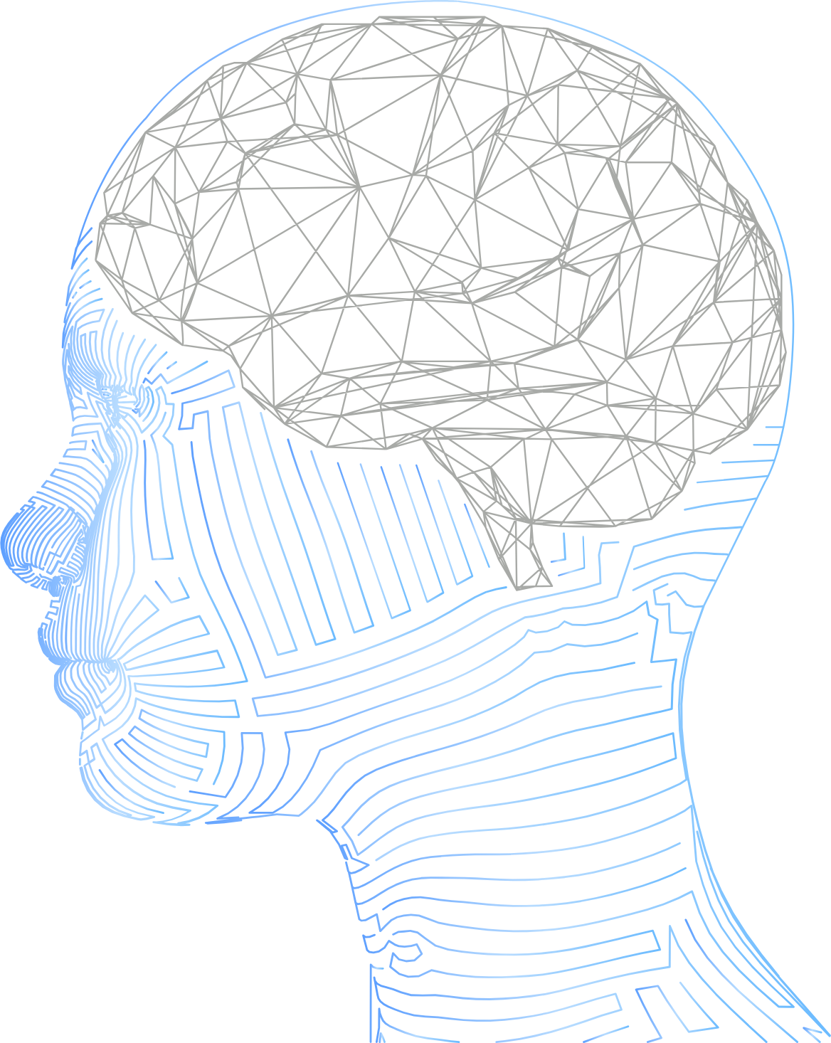Neural profile illustration